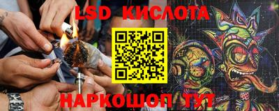 гидропоника Старая Купавна