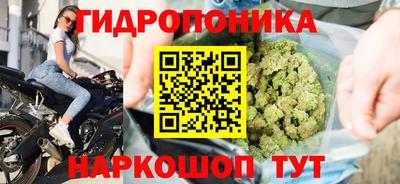 гидропоника Старая Купавна